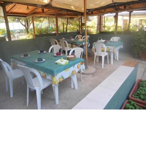 B & B Marcarius