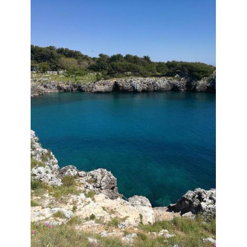 Badisco Vacanze