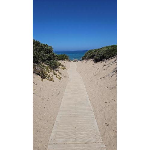 Baia delle mimose Endless Summer