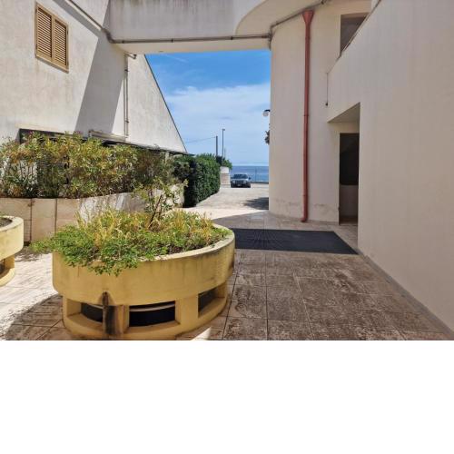 BALCONE DI MARE