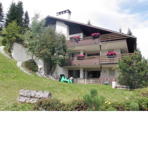 Barlangia (253 Ho)