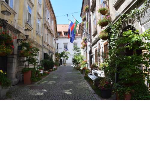 Baroque Shabby Chic Apartments