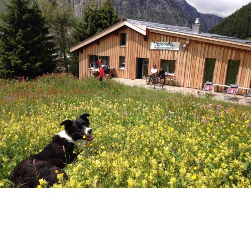 Basecamp Andermatt