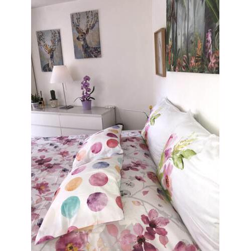 Basel city complete apartment