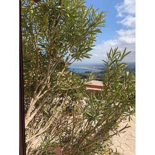 Basilum - Cozy House in Creta