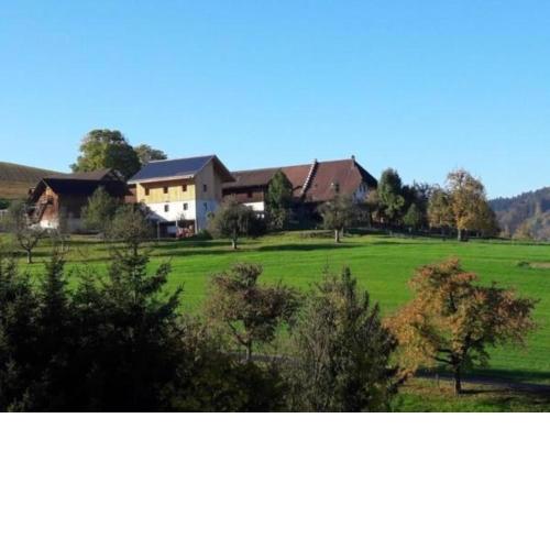 Bauernhof Bättwil