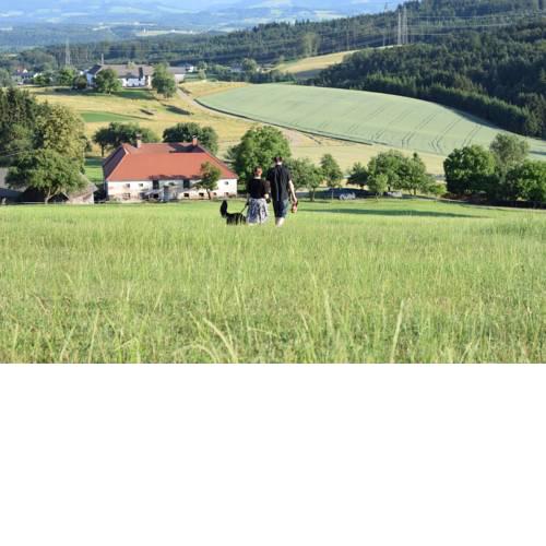 Bauernhof erleben