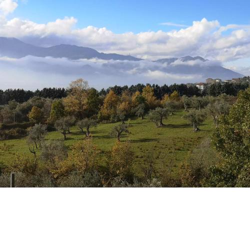 b&b Adamà