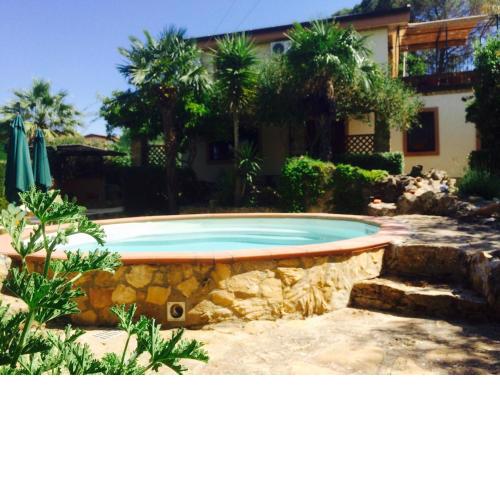 B&B Agave 64