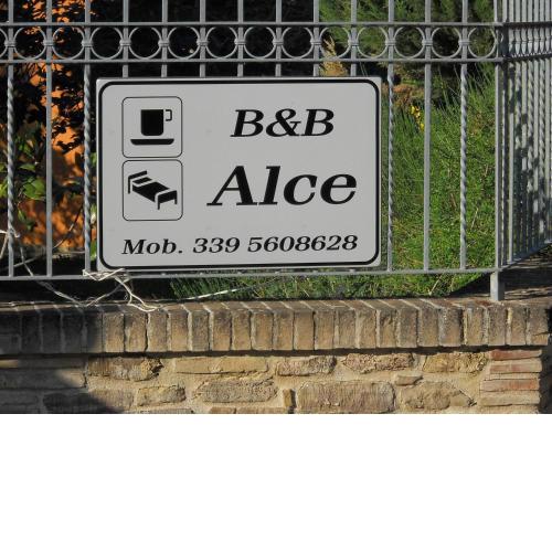 B&B Alce