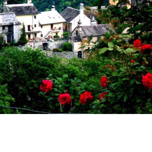 B&B Alpe Veglia