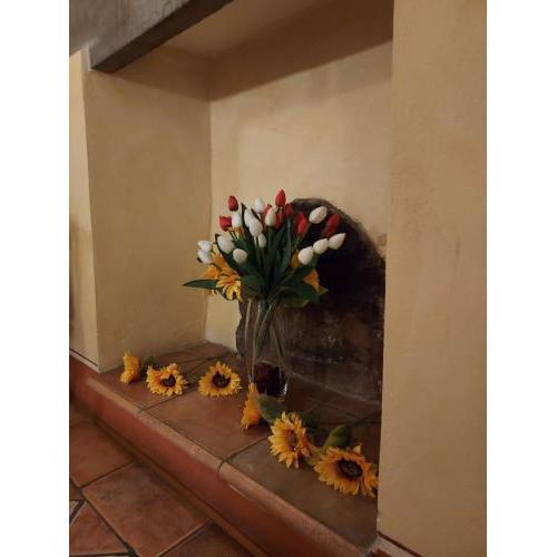 B&B Baldovino di Monte