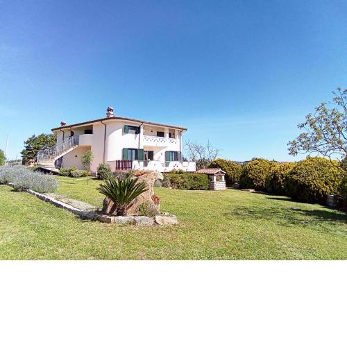 B&B Bene Bennios IUN F1441