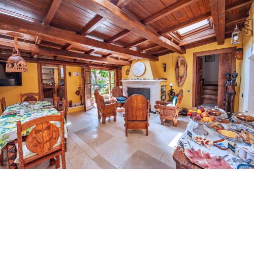 B&B BONE NOVELLE