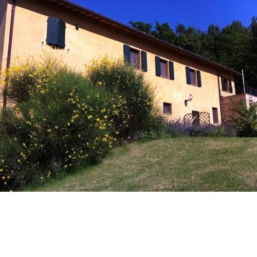 B&B Cal Torello