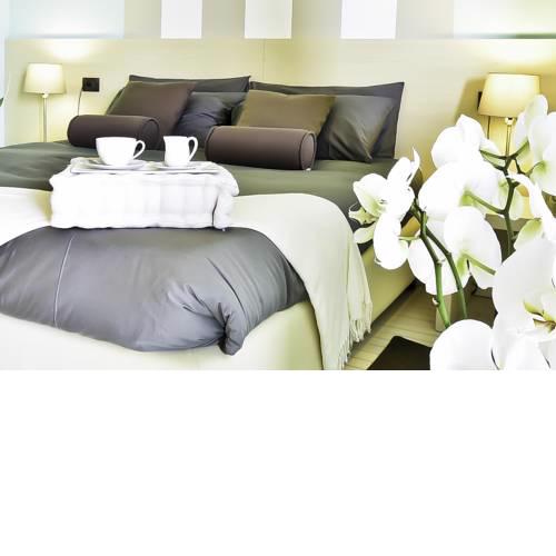 B&B Calligaris