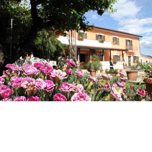 B&B Casale Shanti