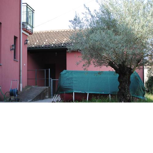 B&B Cloè