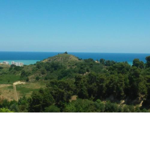 B&B Colle Foresta