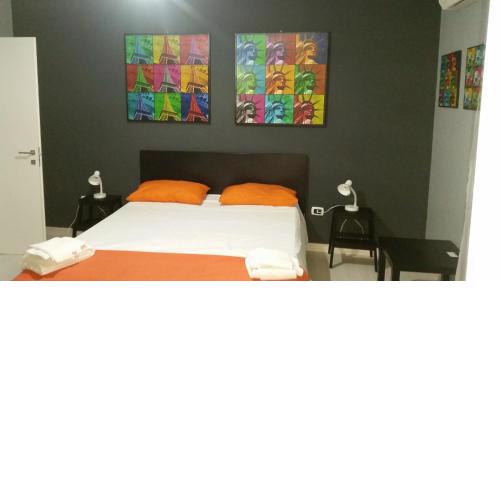 B&B Colors