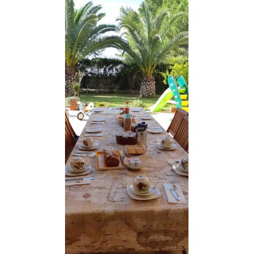 b&b Corbezzoli e Callistemon