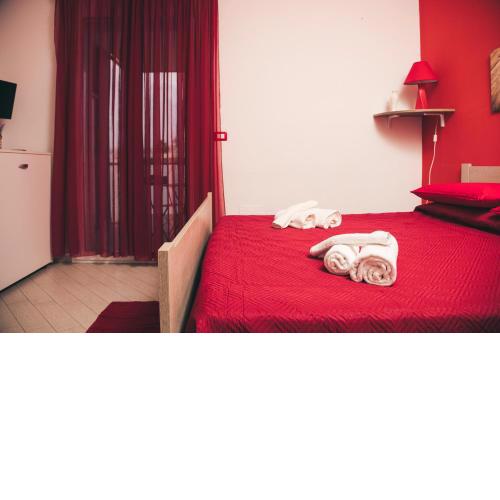 B&B Corso Italia - AP Apartment