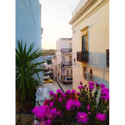 B&B Corte Fiorita