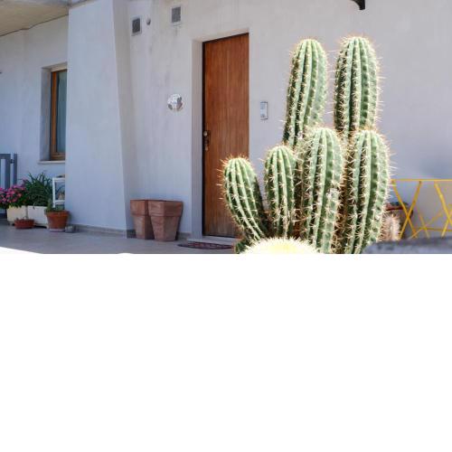 B&B del Cactus