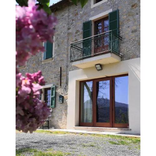 B&B Demetra