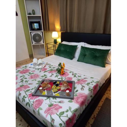 B&B DEVID