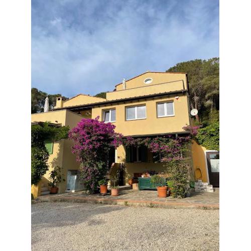 b&b Due Papere