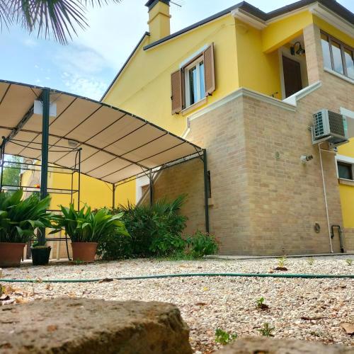 B&B Edera