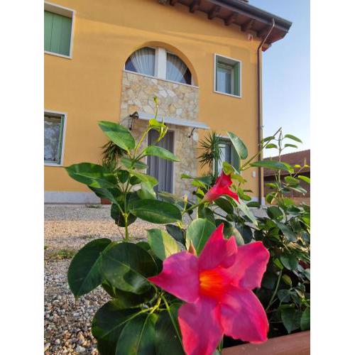 B&B Fiore