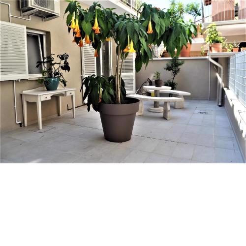 B&B Fontanella 32