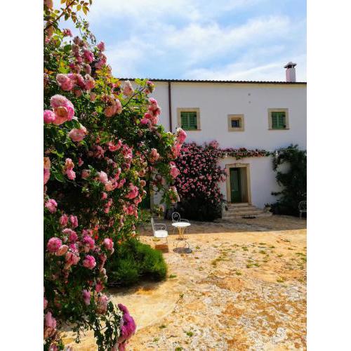 B&B Giovannarolla Green House