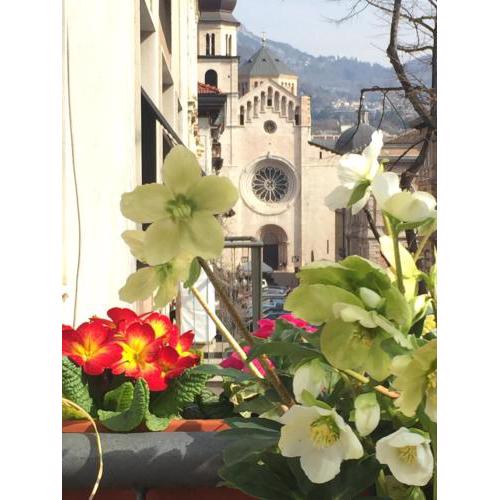 B&B Homer Trento