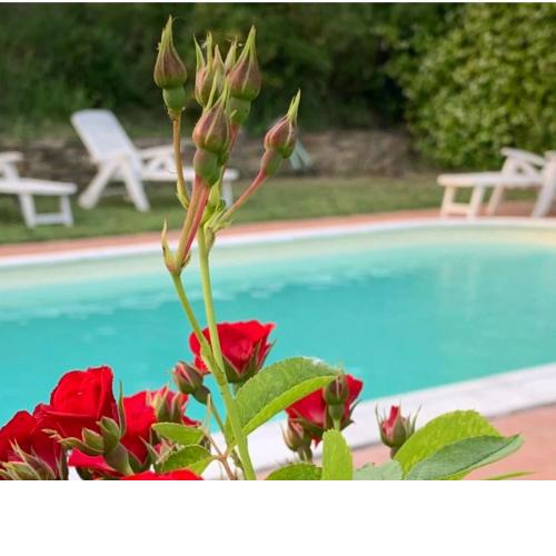 B&B Il Casale Del Ginepro