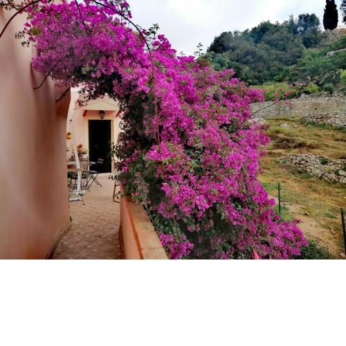 B&B Il Girasole