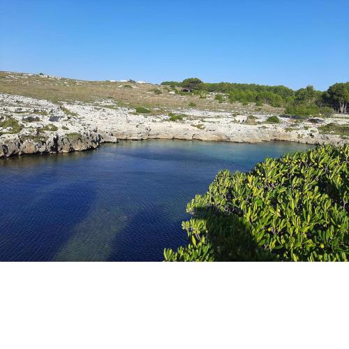 B&B IL PALOMBARO