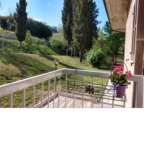 B&B IL TORCHIO-URBINO