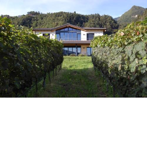 B&B Il Vigneto