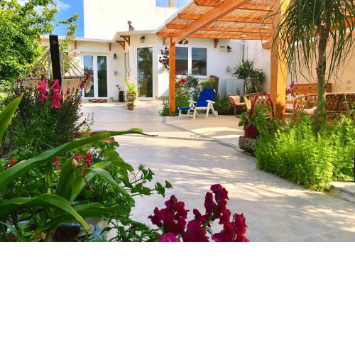 B&B IreneMarchese Gluten Free