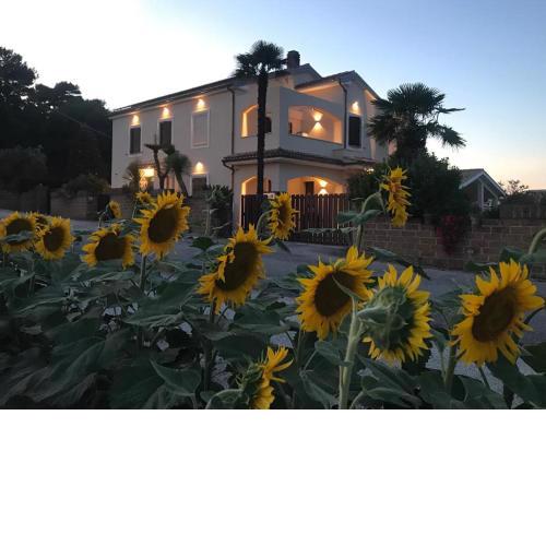 B&B Isa