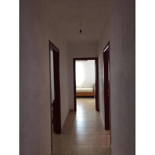 B&B isi