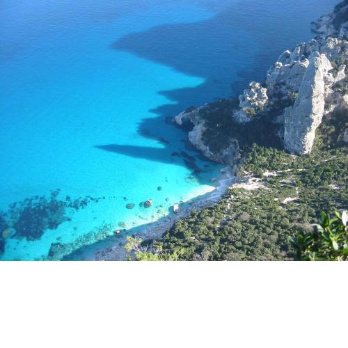 B&B Issicoro