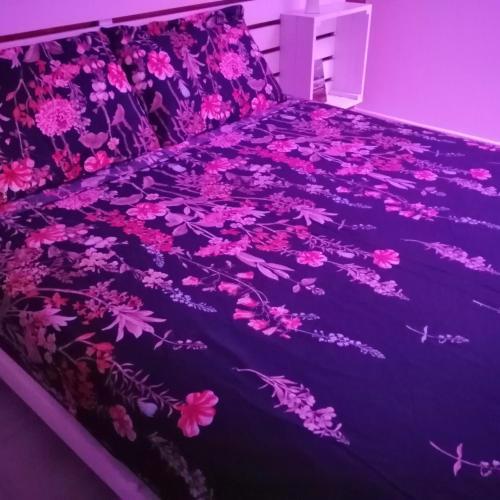 B&b La Camelia