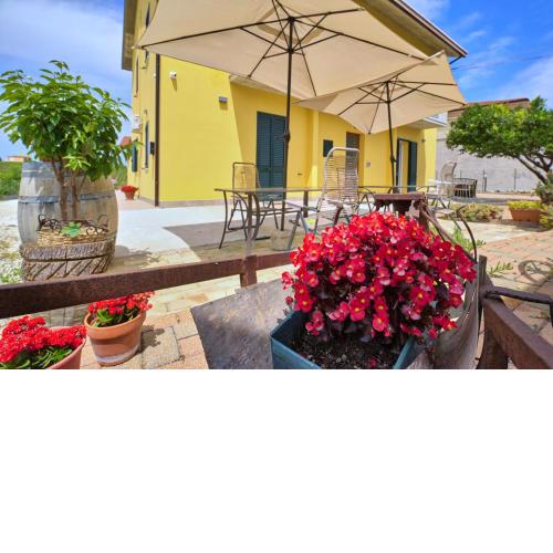 B&B la casa del vino