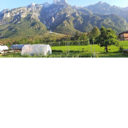 B&B La casa in Campagna