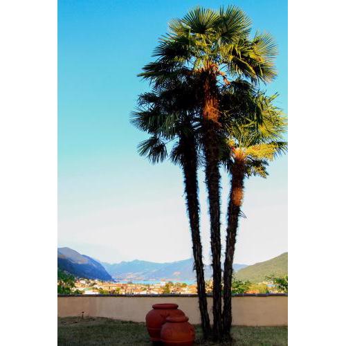 B&B La Fenice sul Lago