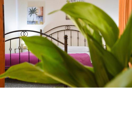 B&B La Genziana